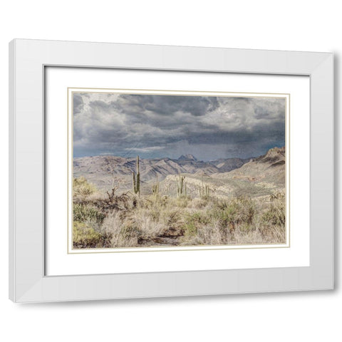 Desert Oasis White Modern Wood Framed Art Print with Double Matting by Prime, Marcus