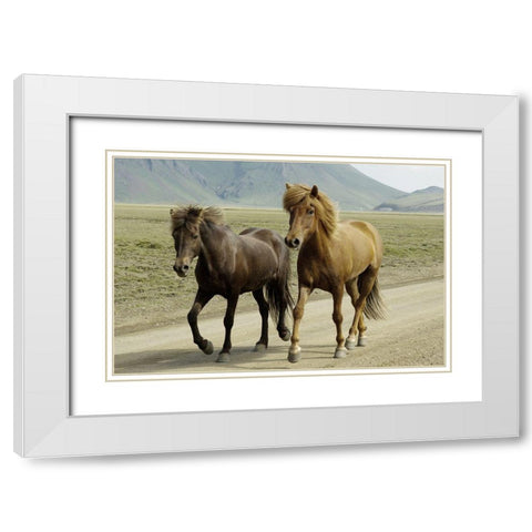 Buddy Gallop White Modern Wood Framed Art Print with Double Matting by Prime, Marcus