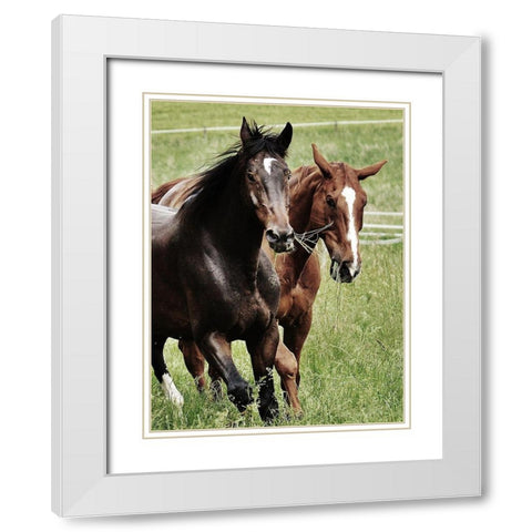 Free Spirits 1 White Modern Wood Framed Art Print with Double Matting by Prime, Marcus