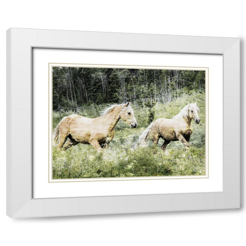 Free Spirits 2 White Modern Wood Framed Art Print with Double Matting by Prime, Marcus
