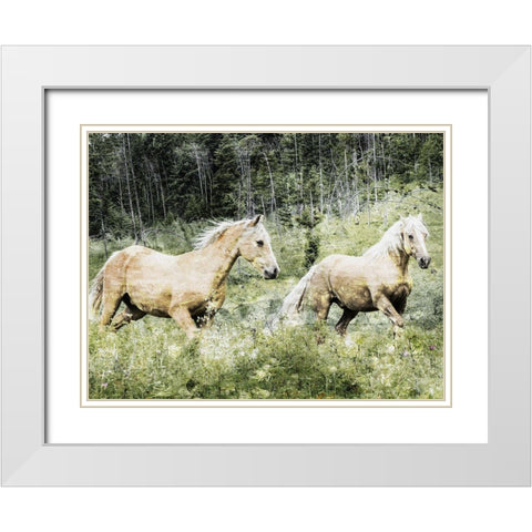 Free Spirits 2 White Modern Wood Framed Art Print with Double Matting by Prime, Marcus