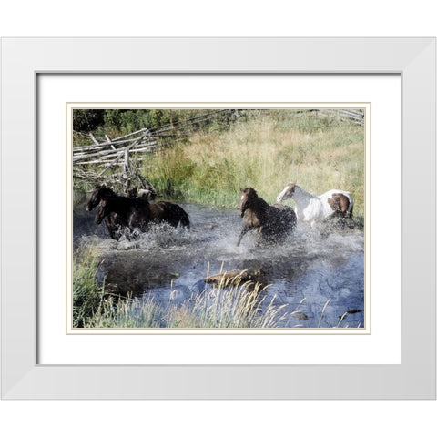 River Roads 1 White Modern Wood Framed Art Print with Double Matting by Prime, Marcus