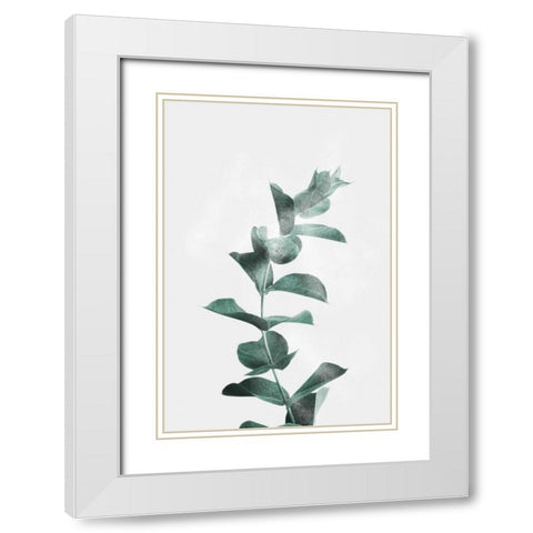 Misty Eucalyptus White Modern Wood Framed Art Print with Double Matting by Prime, Marcus