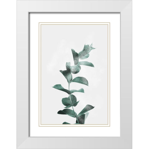 Misty Eucalyptus White Modern Wood Framed Art Print with Double Matting by Prime, Marcus