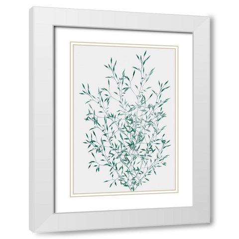 Misty Grass White Modern Wood Framed Art Print with Double Matting by Prime, Marcus