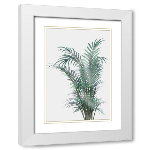 Misty Fern White Modern Wood Framed Art Print with Double Matting by Prime, Marcus
