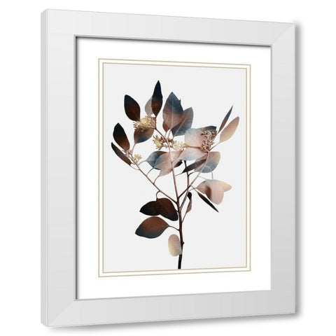 Autumn Eucalyptus 1 White Modern Wood Framed Art Print with Double Matting by Prime, Marcus