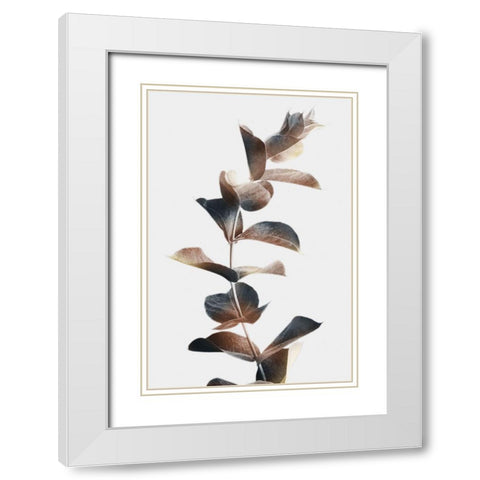Autumn Eucalyptus 2 White Modern Wood Framed Art Print with Double Matting by Prime, Marcus
