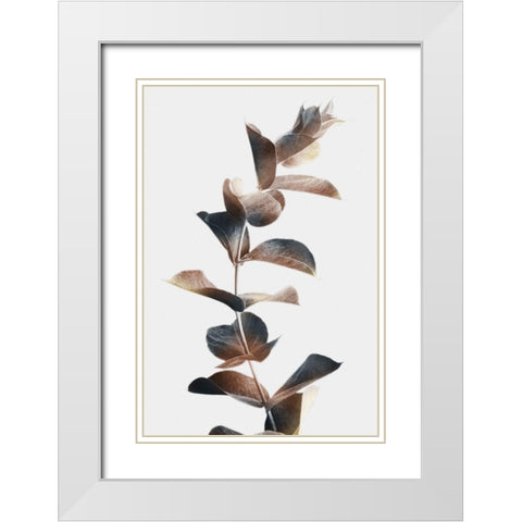 Autumn Eucalyptus 2 White Modern Wood Framed Art Print with Double Matting by Prime, Marcus