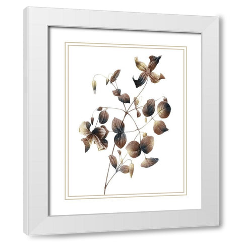 Autumn Balance 2 White Modern Wood Framed Art Print with Double Matting by Prime, Marcus