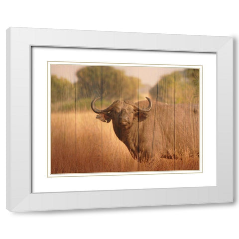Strolling Fella White Modern Wood Framed Art Print with Double Matting by Prime, Marcus