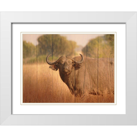 Strolling Fella White Modern Wood Framed Art Print with Double Matting by Prime, Marcus