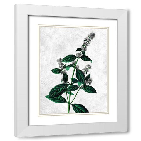 Striking Growth White Modern Wood Framed Art Print with Double Matting by Prime, Marcus