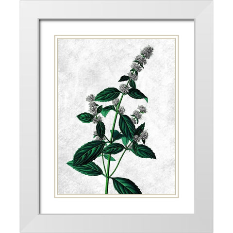 Striking Growth White Modern Wood Framed Art Print with Double Matting by Prime, Marcus