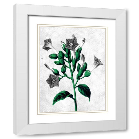 Striking Growth 2 White Modern Wood Framed Art Print with Double Matting by Prime, Marcus