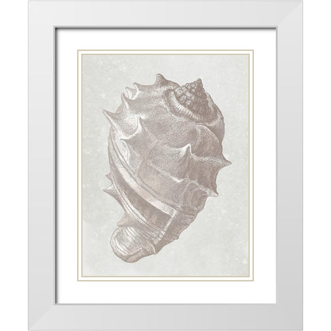 Coastal Bliss 2 White Modern Wood Framed Art Print with Double Matting by Prime, Marcus