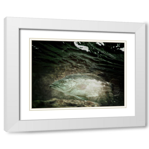 Strolling Fellow White Modern Wood Framed Art Print with Double Matting by Prime, Marcus