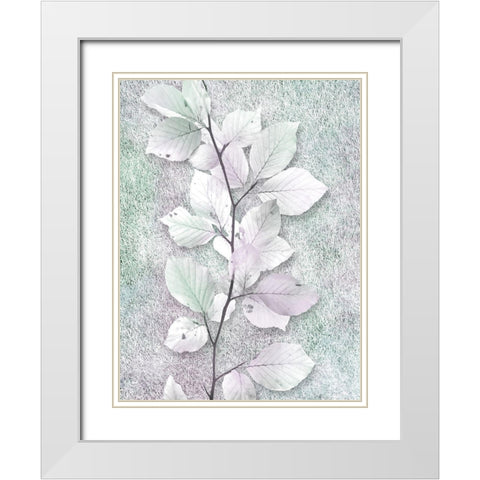 Spring Beauty 1 White Modern Wood Framed Art Print with Double Matting by Prime, Marcus