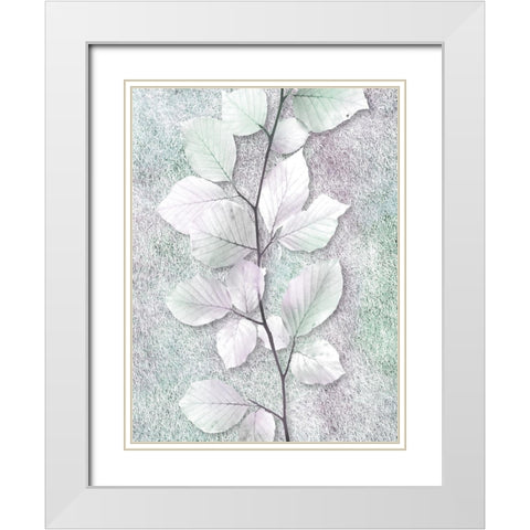 Spring Beauty 2 White Modern Wood Framed Art Print with Double Matting by Prime, Marcus