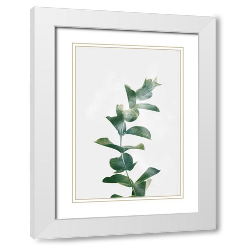 Gold Kissed Eucalyptus White Modern Wood Framed Art Print with Double Matting by Prime, Marcus
