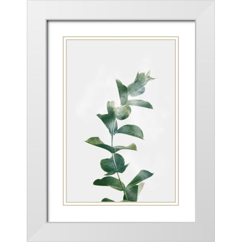 Gold Kissed Eucalyptus White Modern Wood Framed Art Print with Double Matting by Prime, Marcus