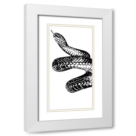 Snake Bite 1 White Modern Wood Framed Art Print with Double Matting by Prime, Marcus