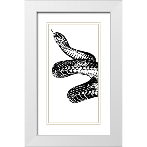 Snake Bite 1 White Modern Wood Framed Art Print with Double Matting by Prime, Marcus
