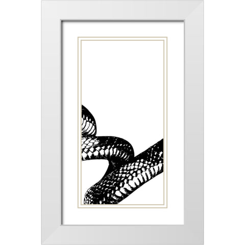Snake Bite 2 White Modern Wood Framed Art Print with Double Matting by Prime, Marcus