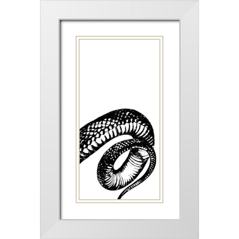 Snake Bite 3 White Modern Wood Framed Art Print with Double Matting by Prime, Marcus