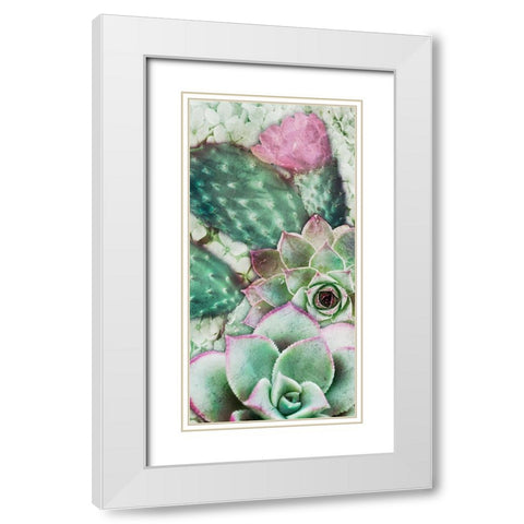 Springtime Succulents 3 White Modern Wood Framed Art Print with Double Matting by Prime, Marcus