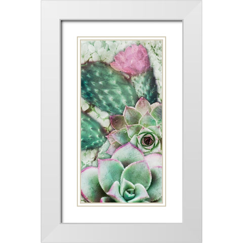 Springtime Succulents 3 White Modern Wood Framed Art Print with Double Matting by Prime, Marcus