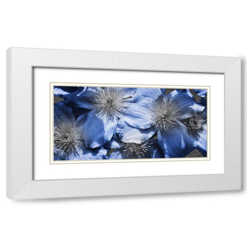 Indigo Wild 1 White Modern Wood Framed Art Print with Double Matting by Prime, Marcus