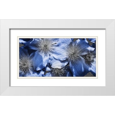 Indigo Wild 1 White Modern Wood Framed Art Print with Double Matting by Prime, Marcus