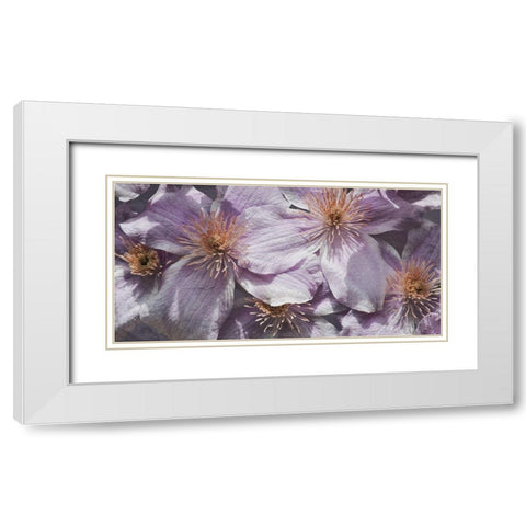 Lavender Explosion 3 White Modern Wood Framed Art Print with Double Matting by Prime, Marcus