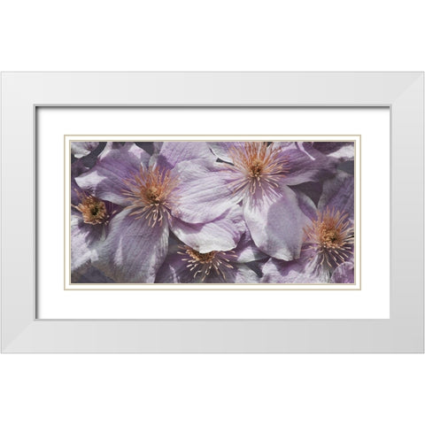 Lavender Explosion 3 White Modern Wood Framed Art Print with Double Matting by Prime, Marcus