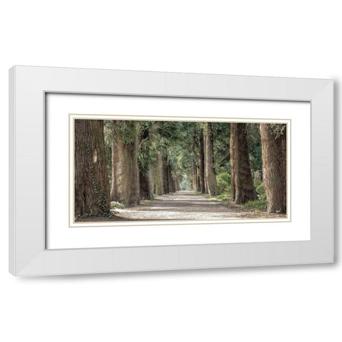 Wilderness Stroll 2 White Modern Wood Framed Art Print with Double Matting by Prime, Marcus
