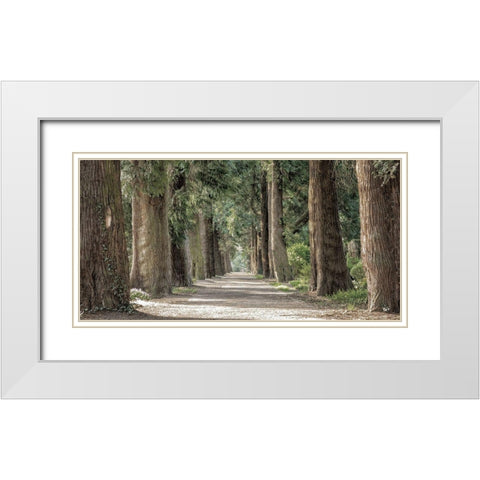 Wilderness Stroll 2 White Modern Wood Framed Art Print with Double Matting by Prime, Marcus