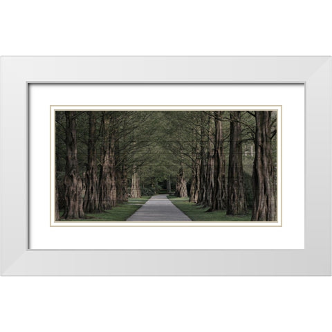 Freedom Road White Modern Wood Framed Art Print with Double Matting by Prime, Marcus