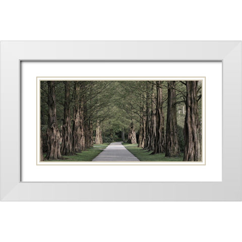Freedom Road 2 White Modern Wood Framed Art Print with Double Matting by Prime, Marcus
