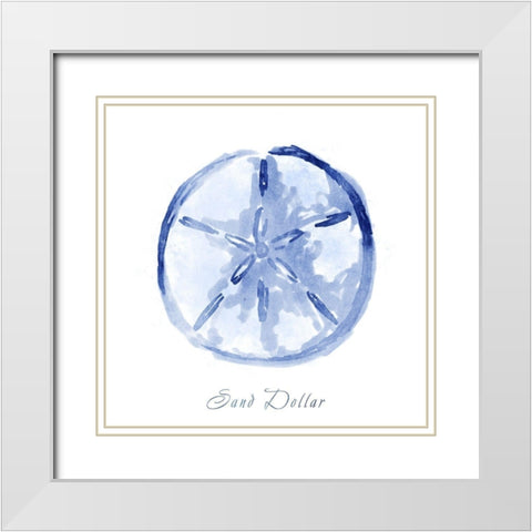Misty Sand Dollar White Modern Wood Framed Art Print with Double Matting by Prime, Marcus