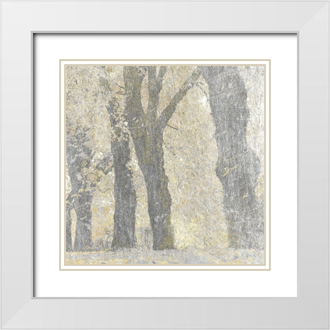 Lost Woods 1 White Modern Wood Framed Art Print with Double Matting by Prime, Marcus