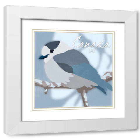 Canada Jay White Modern Wood Framed Art Print with Double Matting by Prime, Marcus