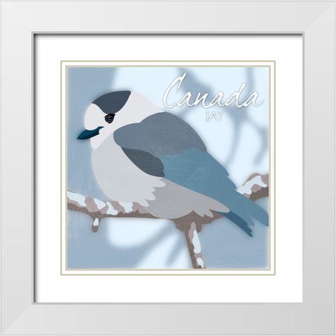Canada Jay White Modern Wood Framed Art Print with Double Matting by Prime, Marcus