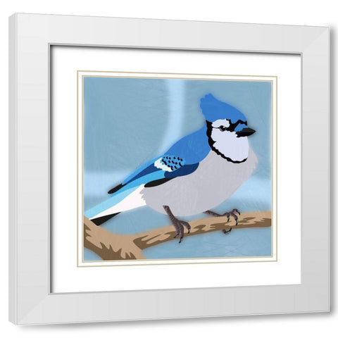 Majestic Blue Jay White Modern Wood Framed Art Print with Double Matting by Prime, Marcus