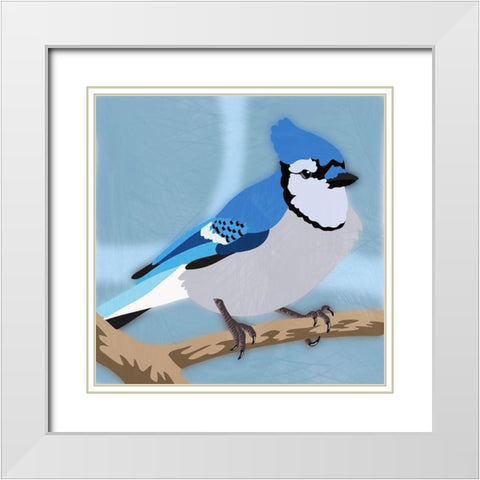 Majestic Blue Jay White Modern Wood Framed Art Print with Double Matting by Prime, Marcus