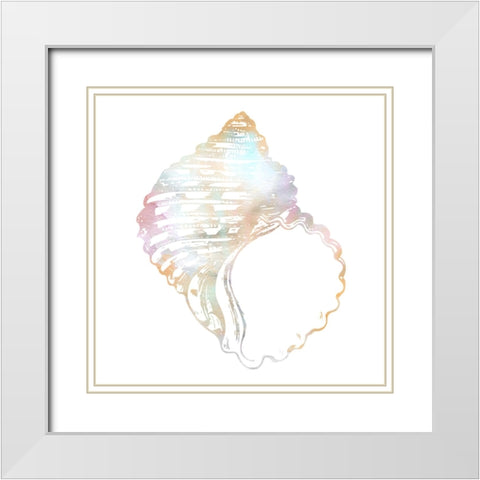 Brilliant Shells 1 White Modern Wood Framed Art Print with Double Matting by Prime, Marcus