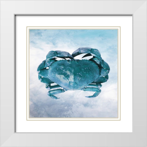 Underwater Friends 1 White Modern Wood Framed Art Print with Double Matting by Prime, Marcus