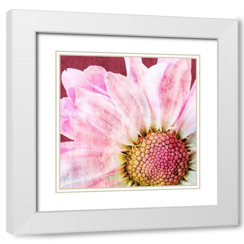Restful Bloom White Modern Wood Framed Art Print with Double Matting by Prime, Marcus