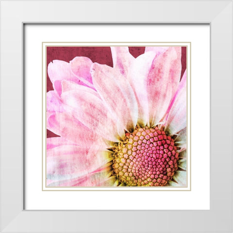Restful Bloom White Modern Wood Framed Art Print with Double Matting by Prime, Marcus