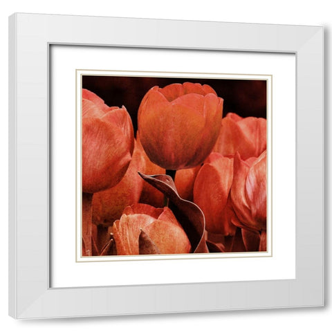 Floral Spice 2 White Modern Wood Framed Art Print with Double Matting by Prime, Marcus